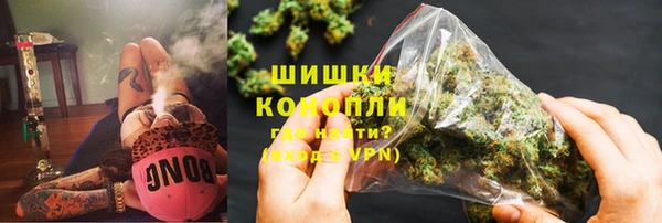 прущие грибы Елабуга