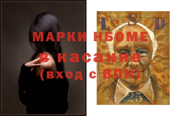 прущие грибы Елабуга