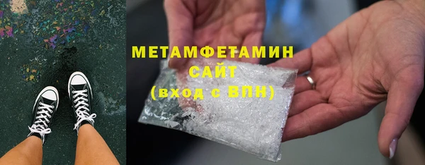 прущие грибы Елабуга