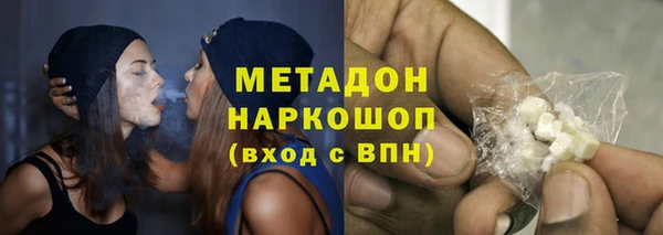 прущие грибы Елабуга