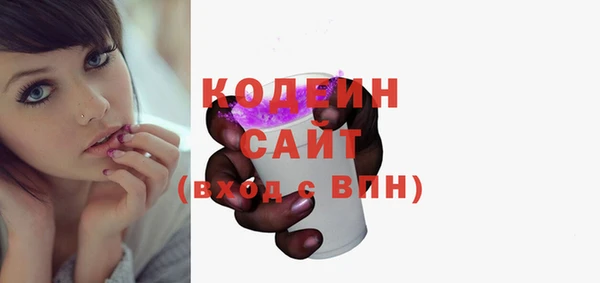 прущие грибы Елабуга