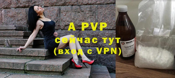 прущие грибы Елабуга