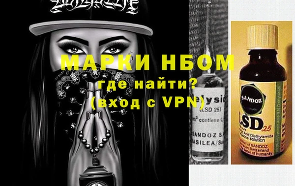 прущие грибы Елабуга