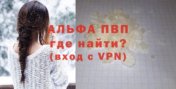 прущие грибы Елабуга