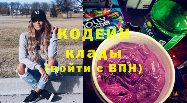 прущие грибы Елабуга