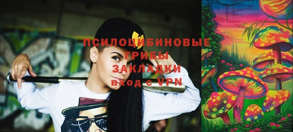 прущие грибы Елабуга