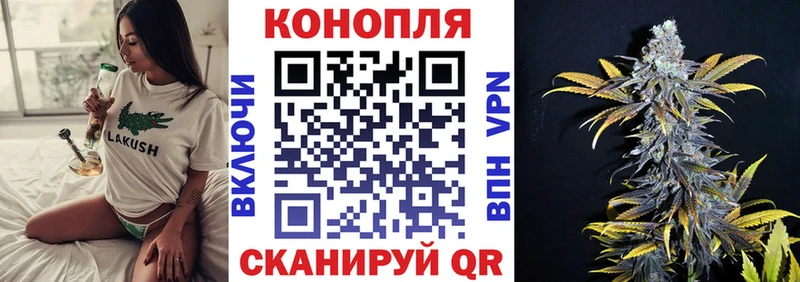 Купить  Химки  Каннабис OG Kush 